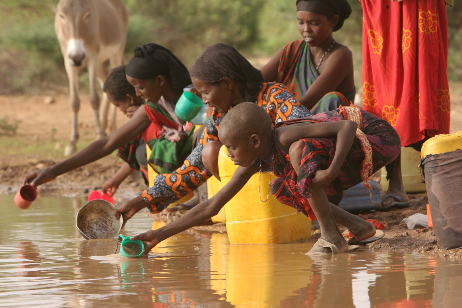 Отсутствие воды и пищи. Люди в афирики без воды.