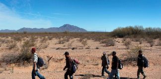 Senado de México respalda negociación de Pacto para Migración de ONU
