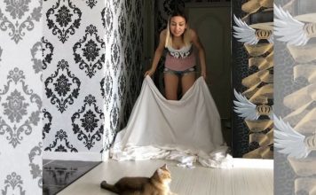Así funciona el reto viral de desaparecer frente a tu gato (VIDEO)