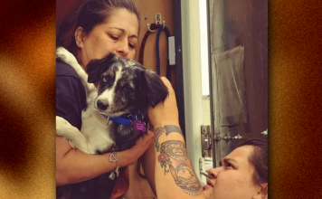 Laredo, Texas de luto; fallece laredense que protegía a los animales