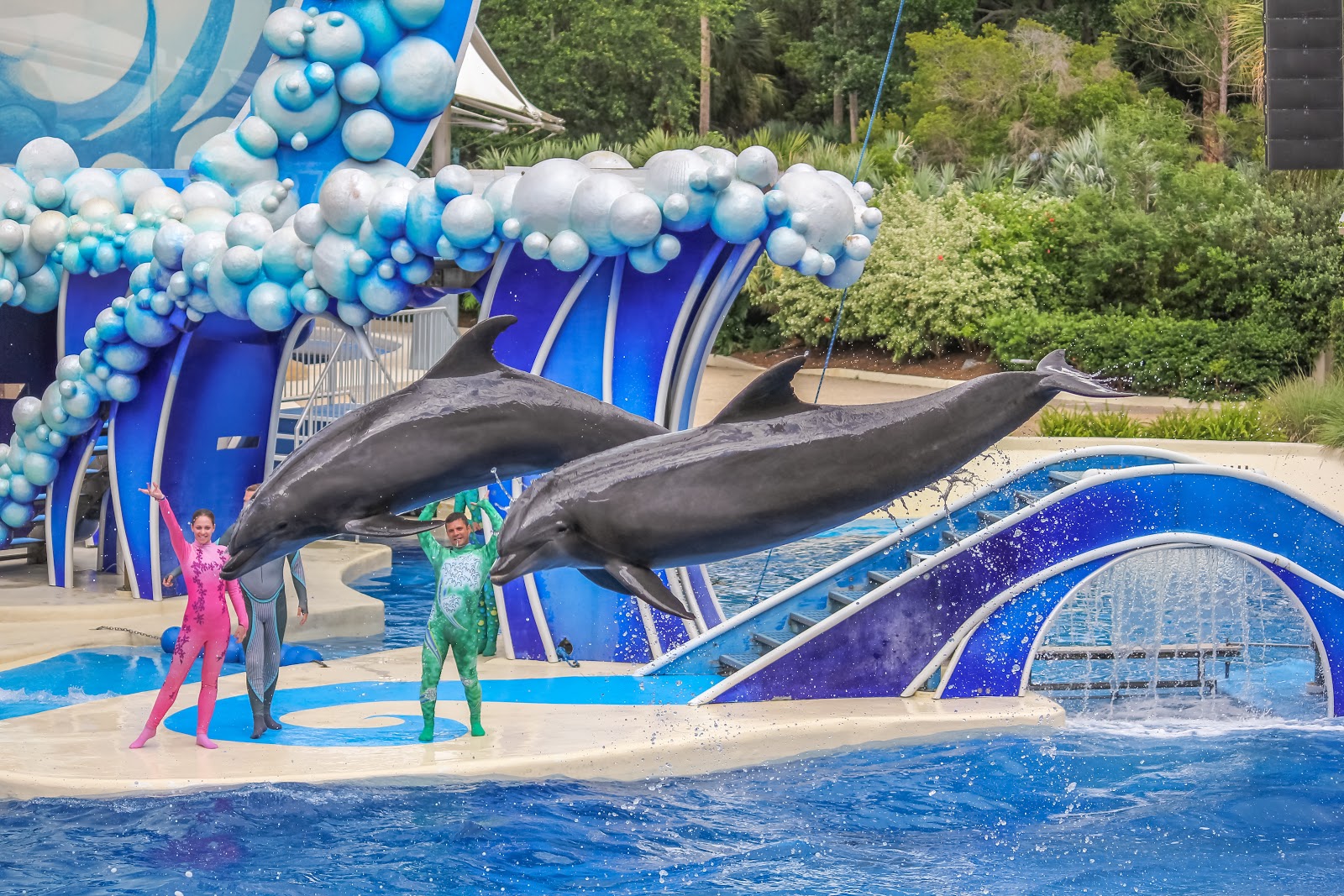 SeaWorld En San Diego Comenzar Su Reapertura Limitada Nuevolaredo tv